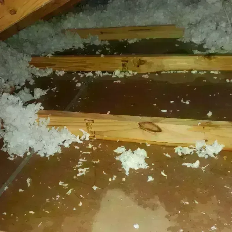 Attic Water Damage in Experiment, GA