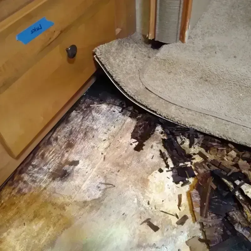 Wood Floor Water Damage in Experiment, GA